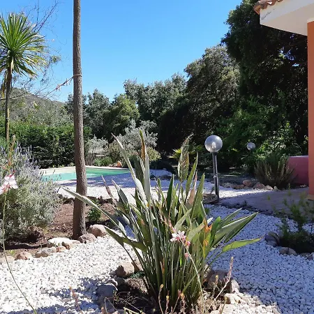 Villa Albatros Magnifica Vacanze Alghero Valverde 122 Valverde (Sardinia)